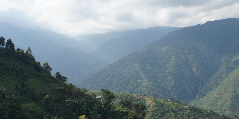 Mist rolling through the deep green valleys of the Rwenzori mountains