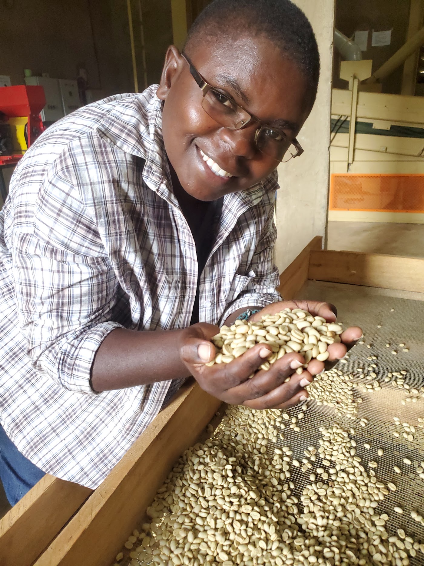 Smiling cooperative member holding a double handful of milled green coffee at the dry mill